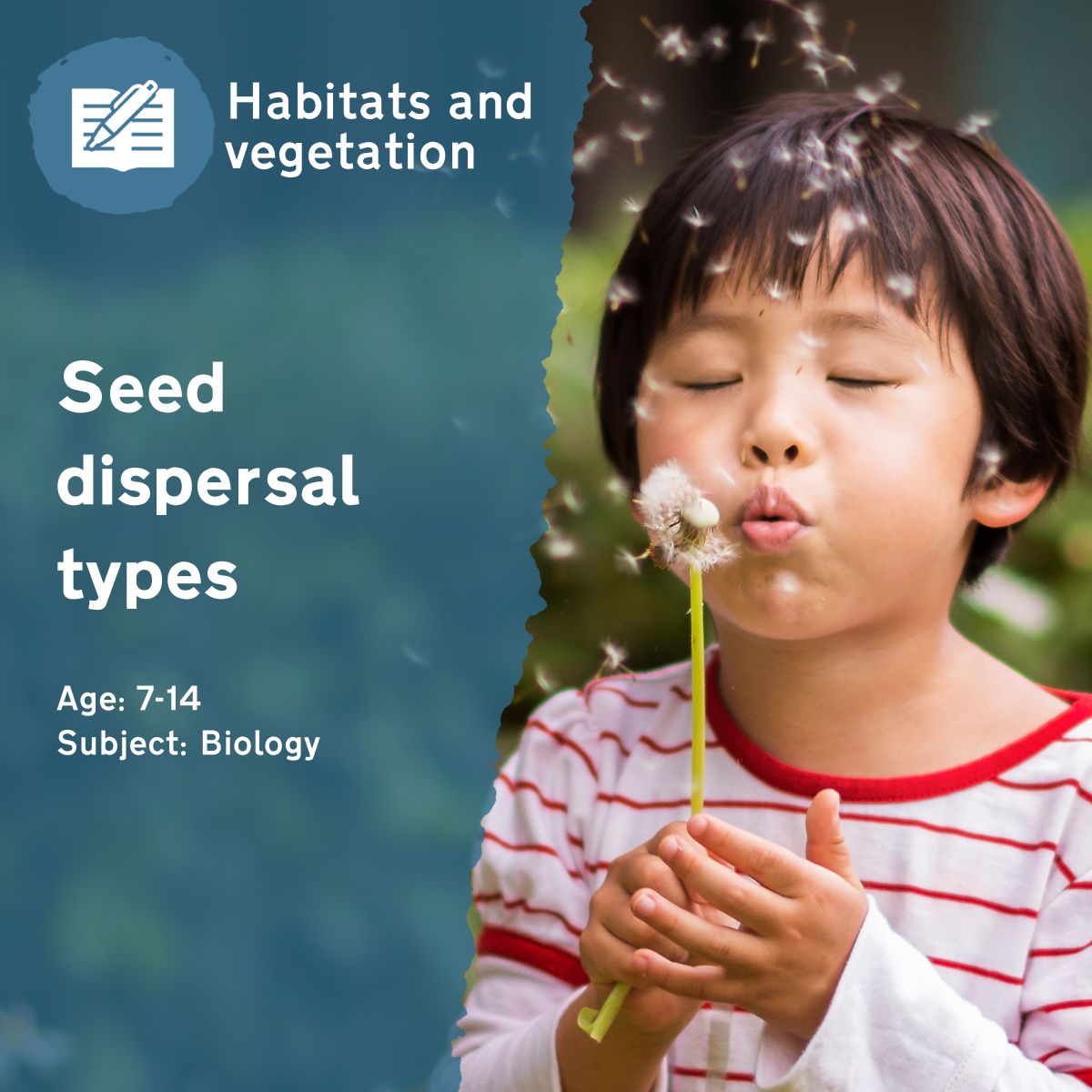 By asking children to collect and categorise seeds from across their school grounds, the 'Seed Dispersal Types' outdoor lesson idea helps children to understand the different methods of seed dispersal, along with their advantages and disadvantages.This outdoor lesson idea is in PDF format. When you click the 'download' button, the PDF file will be immediately downloaded to your designated folder — usually the 'Downloads' folder.