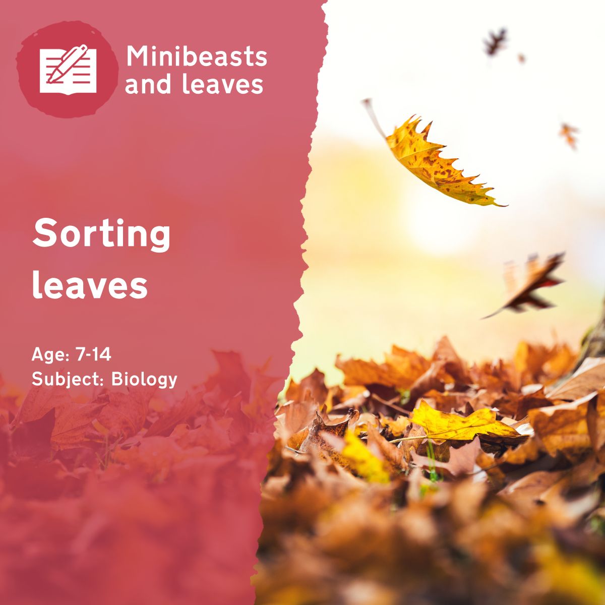 The 'Sorting Leaves' outdoor lesson idea is a sensory activity which asks children to identify the different leaves they can find in their school grounds, working on their classification skills whilst boosting their connection to nature. Visit our outdoor lesson ideas page to browse more free outdoor activities.This outdoor lesson idea is in PDF format. When you click the 'download' button, the PDF file will be immediately downloaded to your designated folder — usually the 'Downloads' folder.