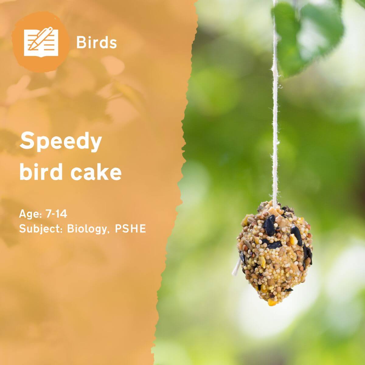 The 'Speedy Bird Cake' outdoor lesson idea will help you and your pupils to create a winter feast for birds in your school grounds! This simple outdoor lesson idea builds nature connection and encourages pupils to reflect on how helping local wildlife makes them feel.This outdoor lesson idea is in PDF format. When you click the 'download' button, the PDF file will be immediately downloaded to your designated folder — usually the 'Downloads' folder.