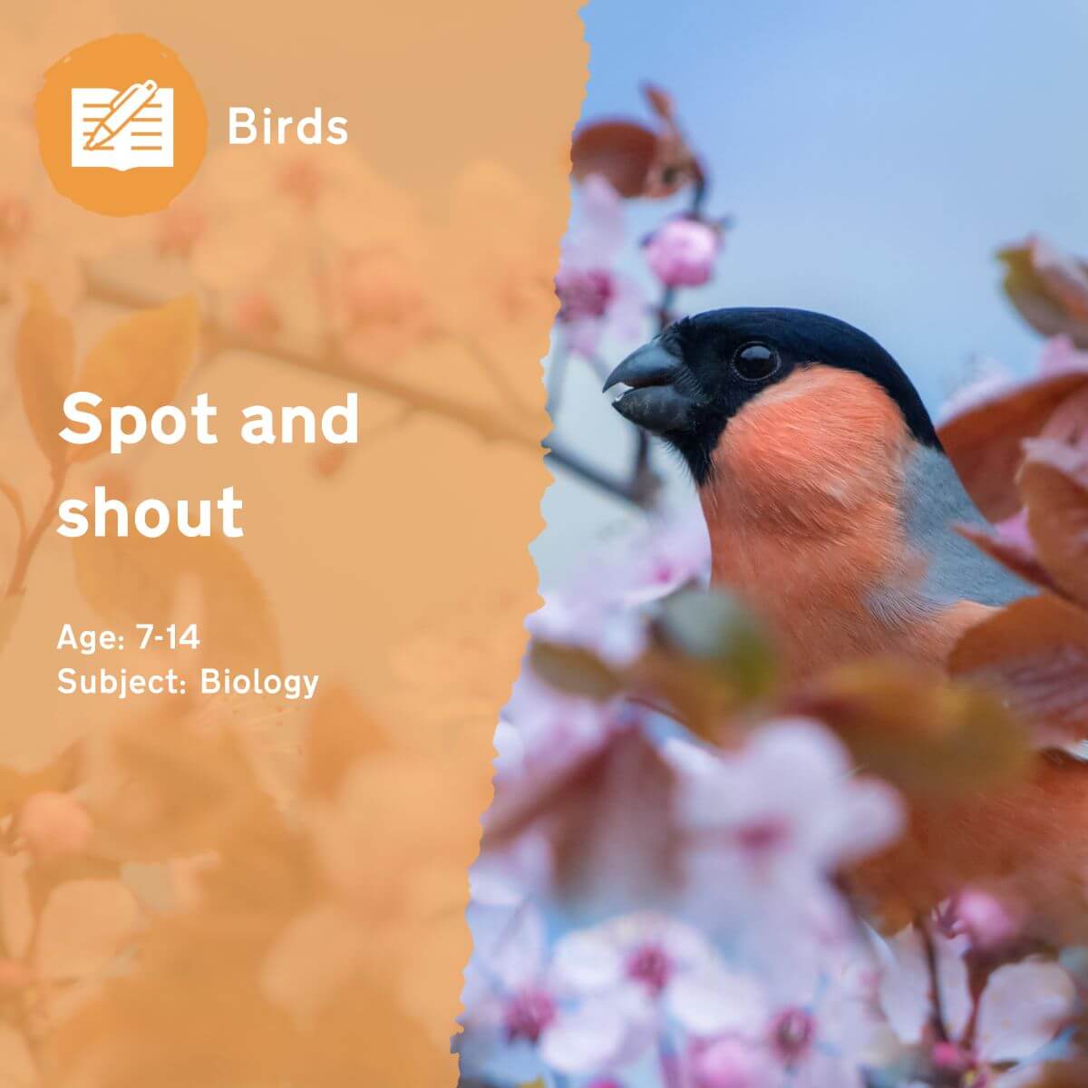 Working in pairs, the 'Spot and Shout' outdoor lesson idea gets children using all of their senses to identify birds in the school grounds. This outdoor lesson idea will start children thinking about different ways to categorise information logically.This outdoor lesson idea is in PDF format. When you click the 'download' button, the PDF file will be immediately downloaded to your designated folder — usually the 'Downloads' folder.
