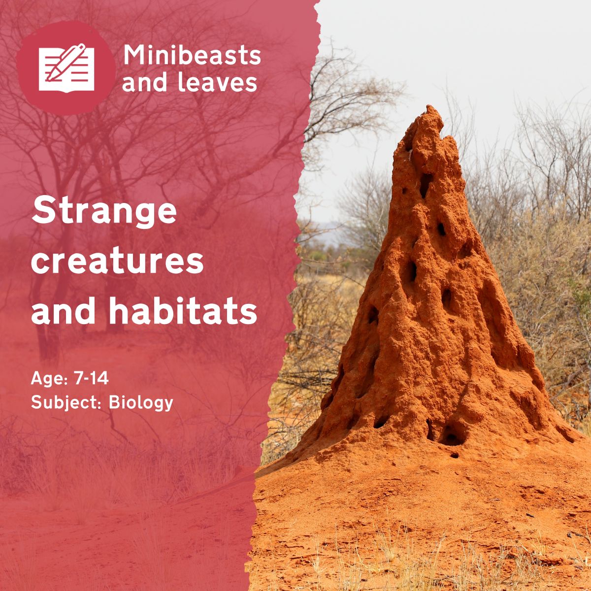 The 'Strange Creatures and Habitats' lesson idea sees children inventing minibeasts for an unusual habitat! What can they come up with?This outdoor lesson idea is in PDF format. When you click the 'download' button, the PDF file will be immediately downloaded to your designated folder — usually the 'Downloads' folder.