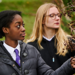 Two secondary school pupils survey a tree in autumn in their school grounds