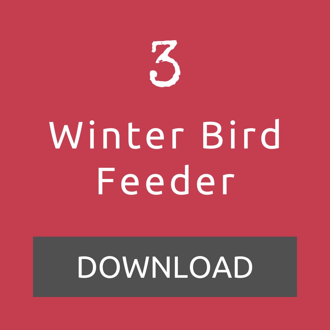 Download our 'Winter Bird Feeder' outdoor lesson idea for day 3 of the LtL Advent Calendar.