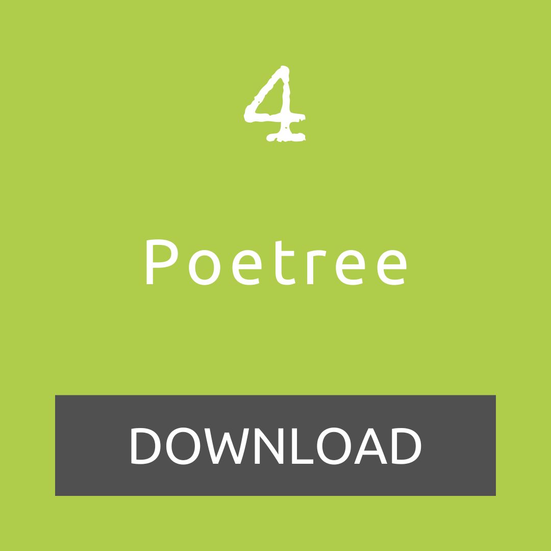 Download our 'Poetree' outdoor lesson idea for day 4 of the LtL Advent Calendar.
