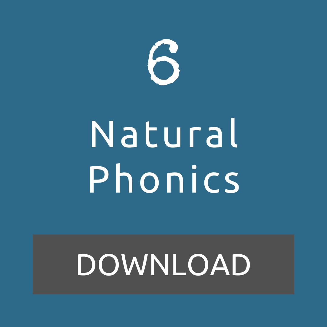 Download our 'Natural Phonics' outdoor lesson idea for day 6 of the LtL Advent Calendar.