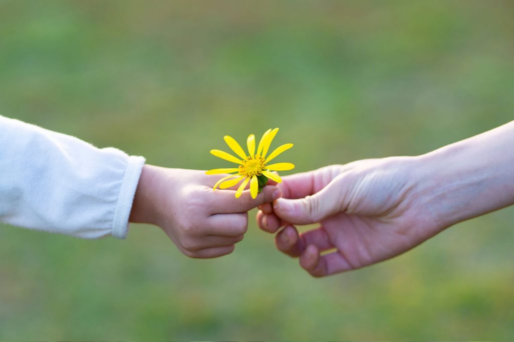 A child passing a yellow flower to an adult in an outdoor classroom.