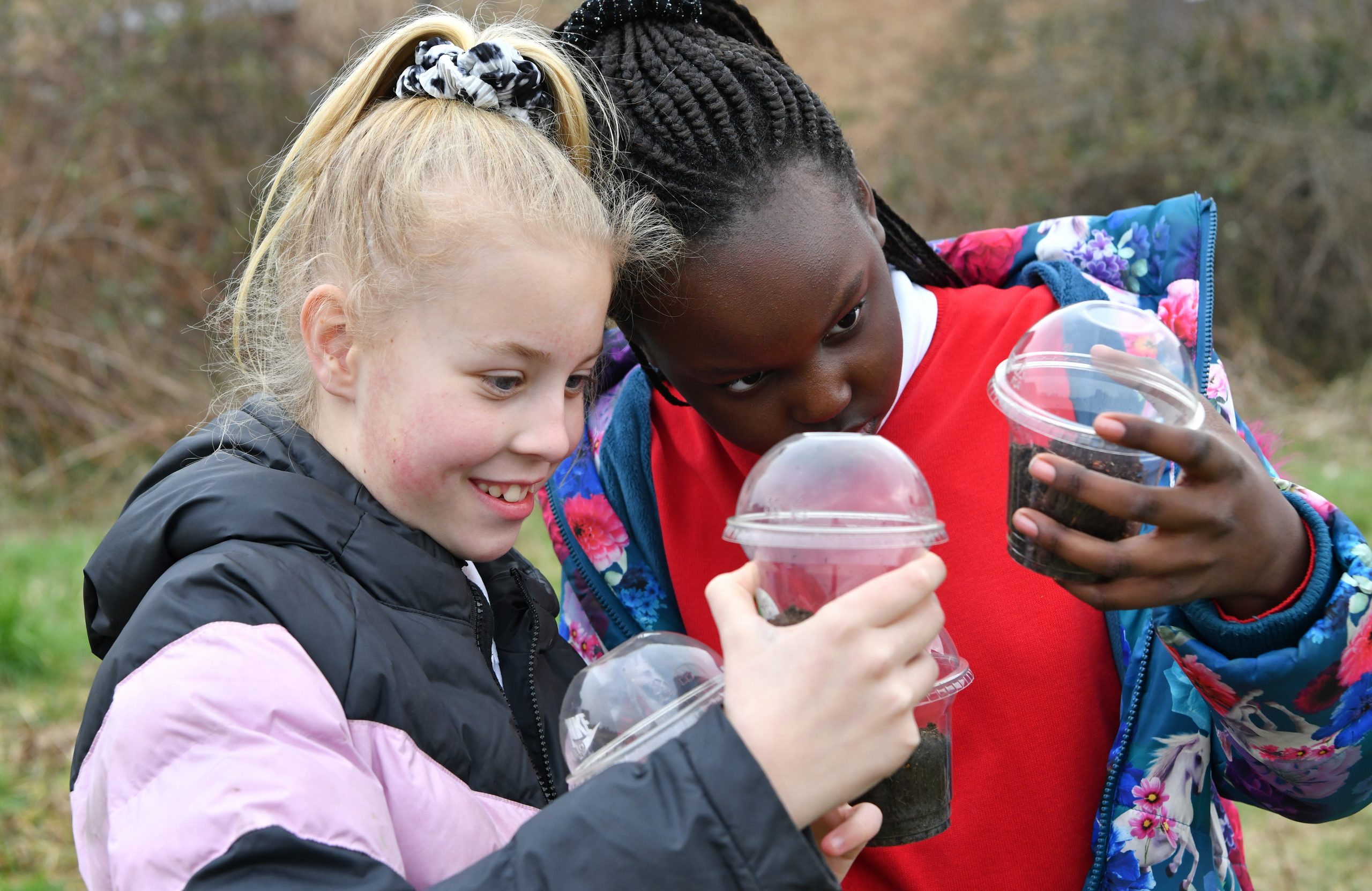 Children studying insects they caught during outdoor learning activities under the My School, My Planet project.