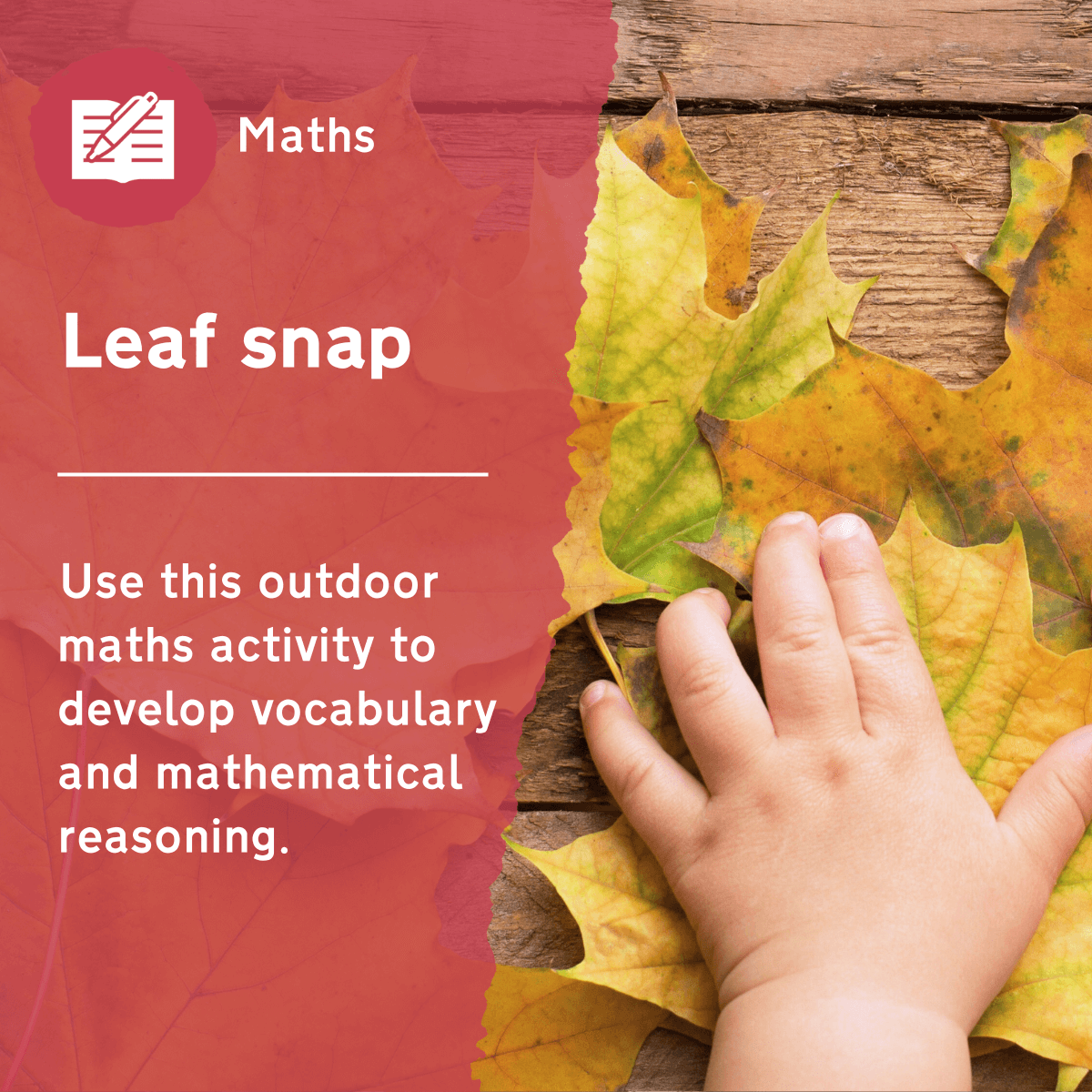 Use this early years maths activity to develop vocabulary and the early stages of mathematical reasoning. This outdoor lesson idea will encourage communication through a fun game, while also connecting children with nature around them.