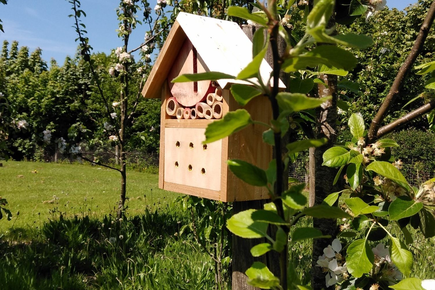 A wooden home for wild pollinators attached to a post in an orchard in climate ready school grounds.