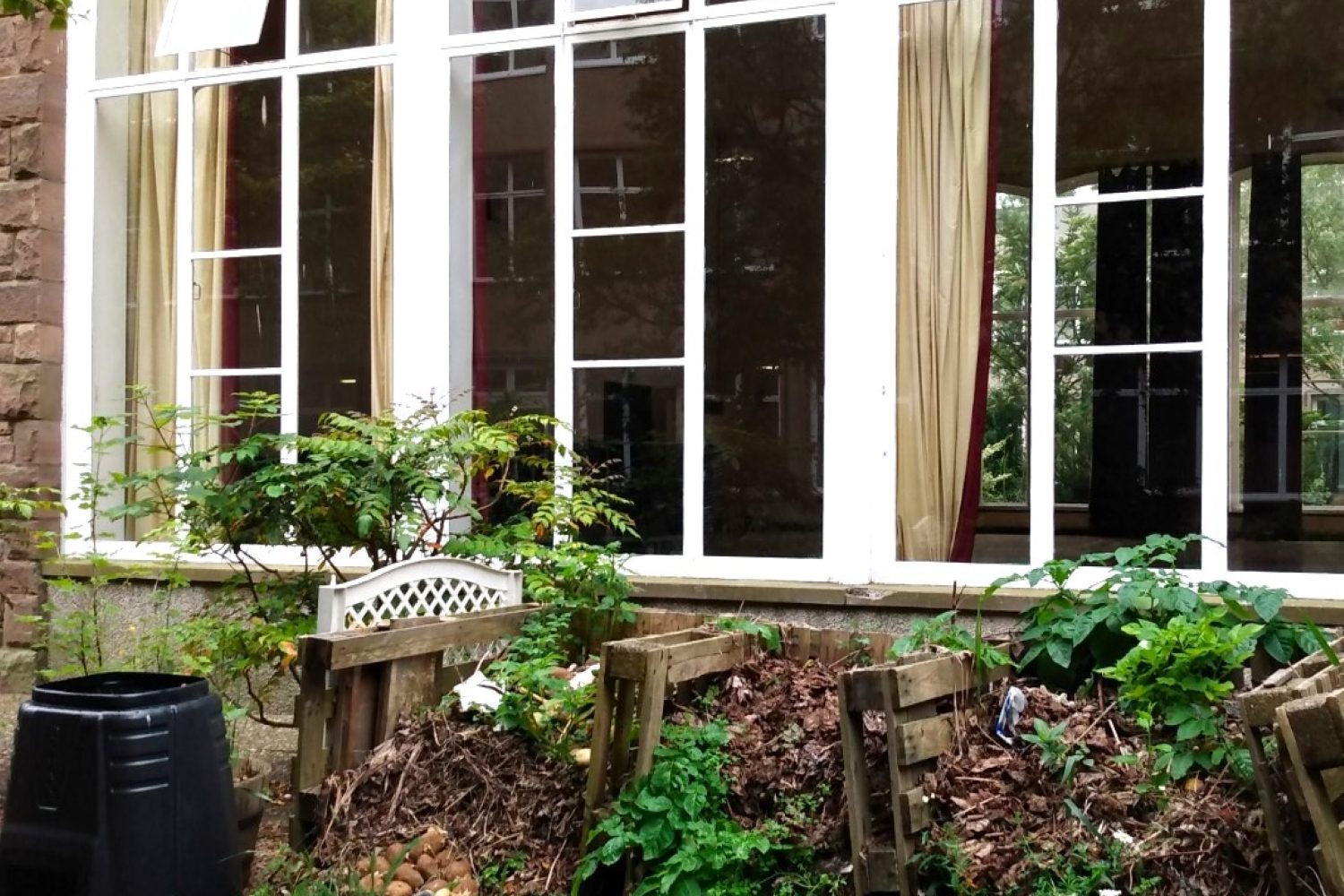 A natural composting area outside a classroom in some climate ready school grounds.