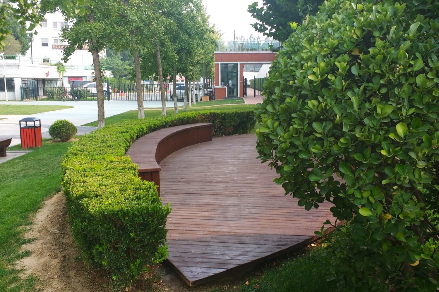 A low hedge with benches, surrounded by shrubs and trees in a grassy area of some climate ready school grounds.