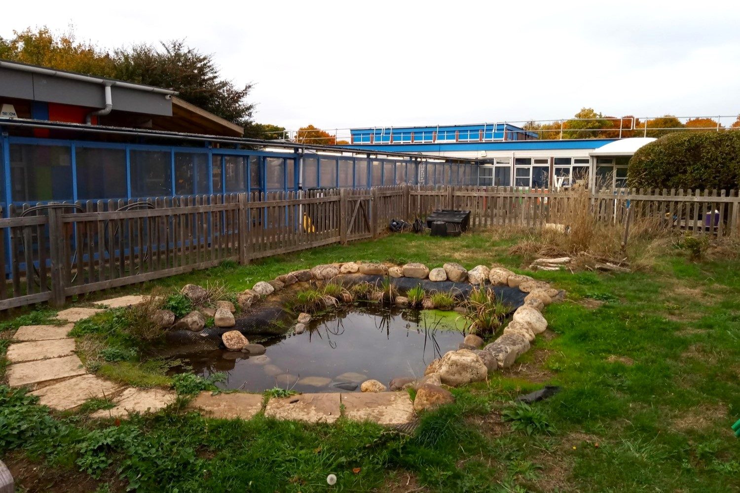 A pond in a fenced area of some climate ready school grounds.