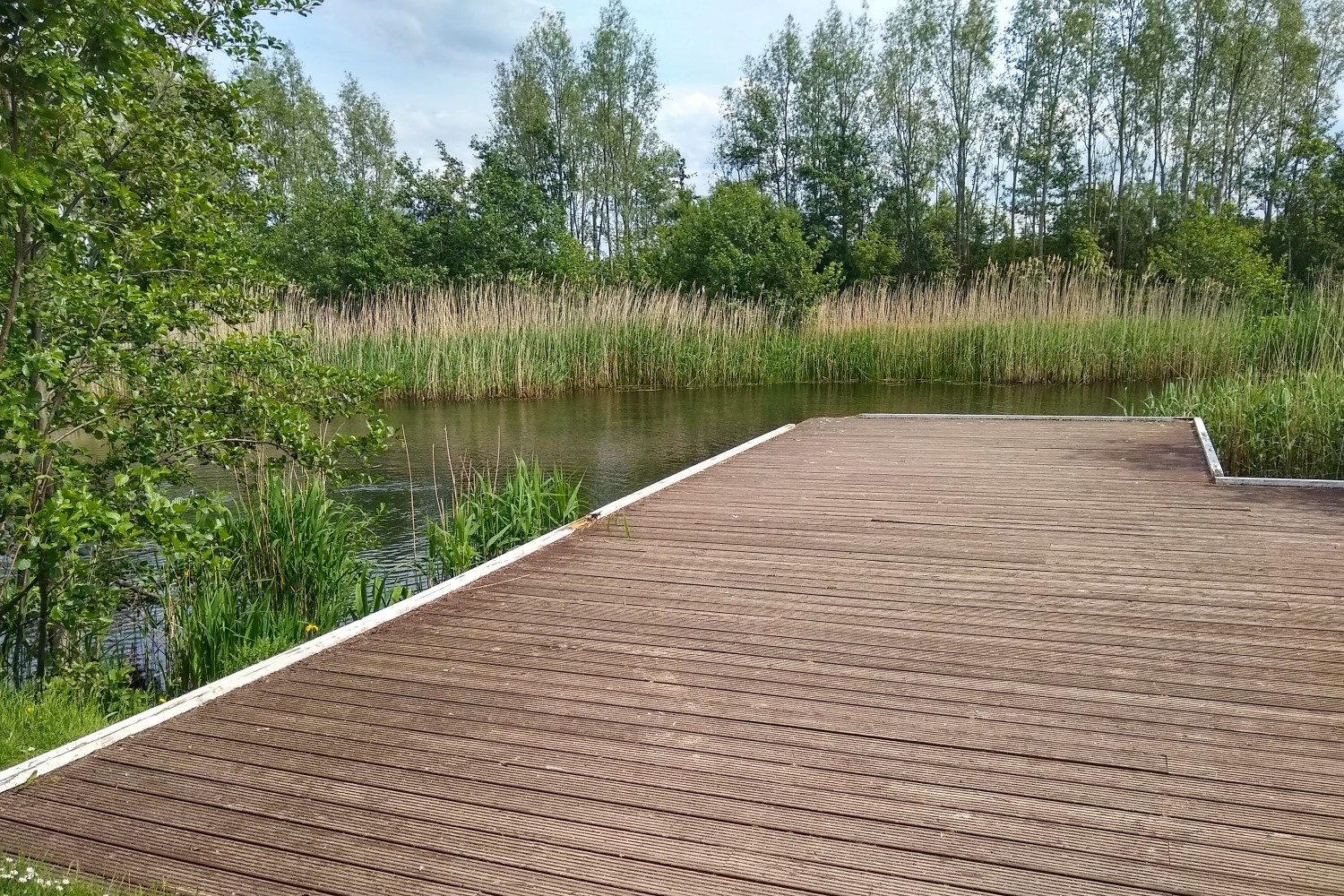 A large wetland area with decking in climate ready school grounds.