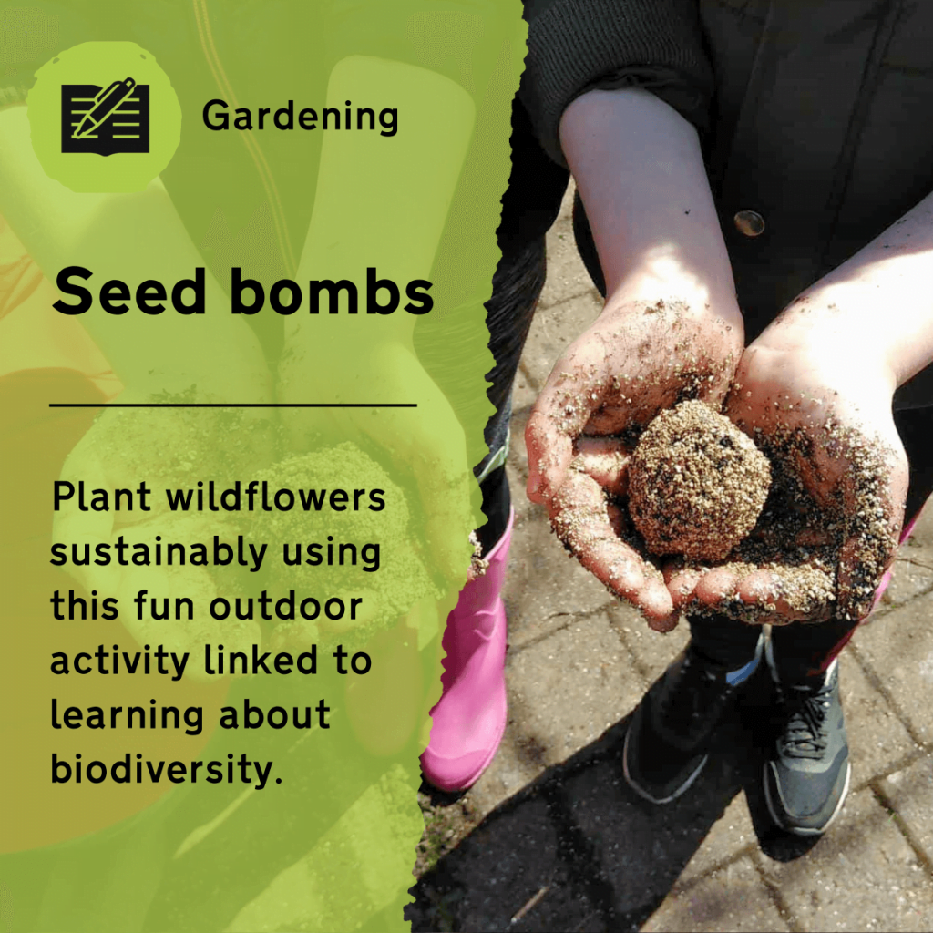 Use this gardening for all ages activity to create a sustainable way to plant wildflowers. This outdoor lesson idea can encourage learning about biodiversity, plant life cycles and learning for sustainability.