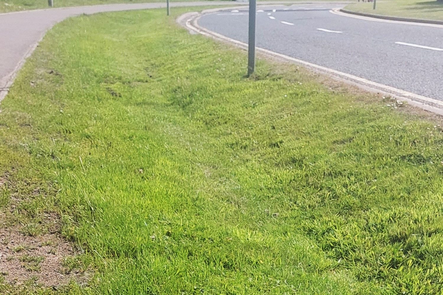 A grassy swale next to a road (a shallow ditch with flat base and sloping sides, designed to catch, store temporarily, and slowly release water).