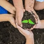 Climate action: The impacts of outdoor learning and play