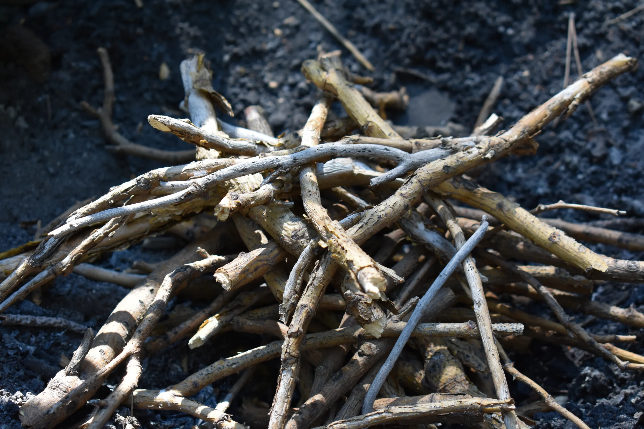 Outdoor Random Story Generator