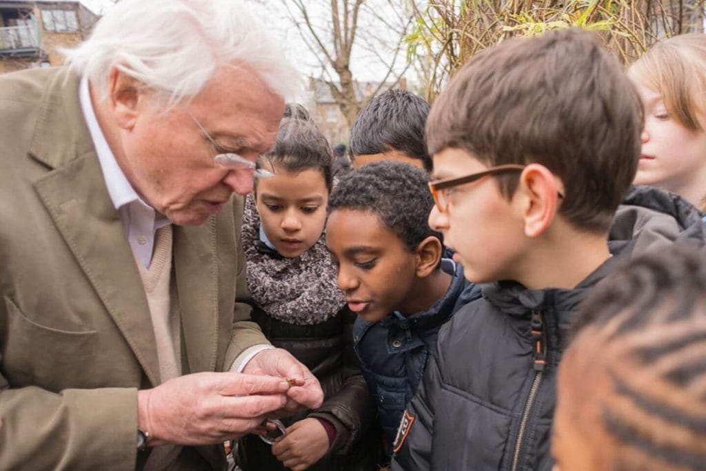 On Outdoor Classroom Day, Carley Sefton reflects on the importance of storytelling for inspiring a connection with nature.