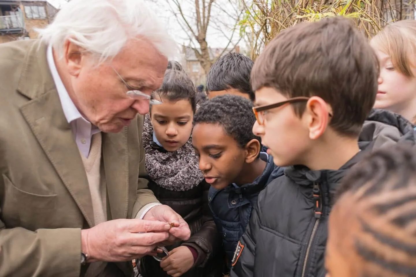Inspire wonder in nature on Outdoor Classroom Day
