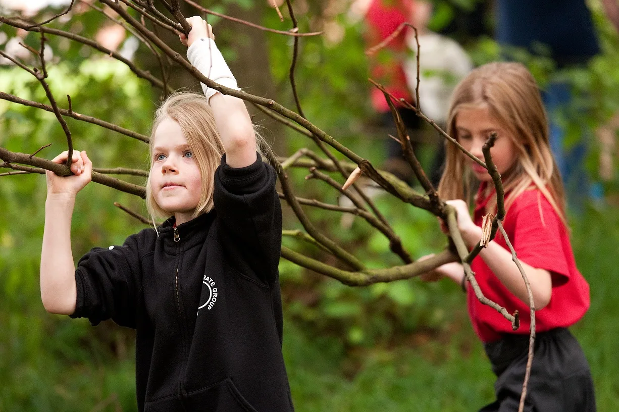 LtL responds to the Curriculum and Assessment Review Interim Report