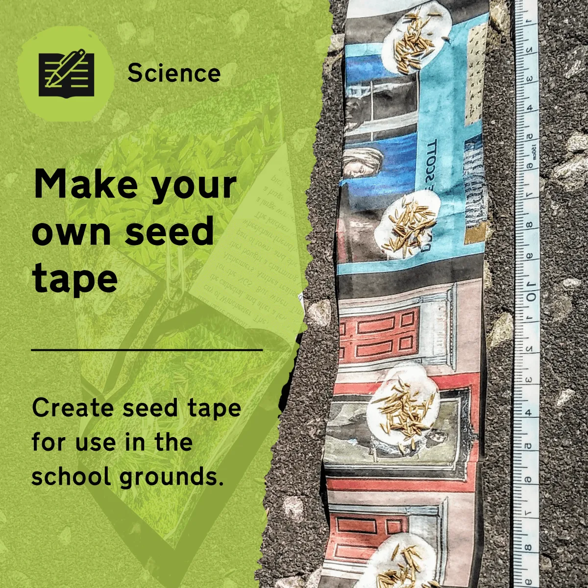 Make Your Own Seed Tape