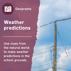Weather Predictions