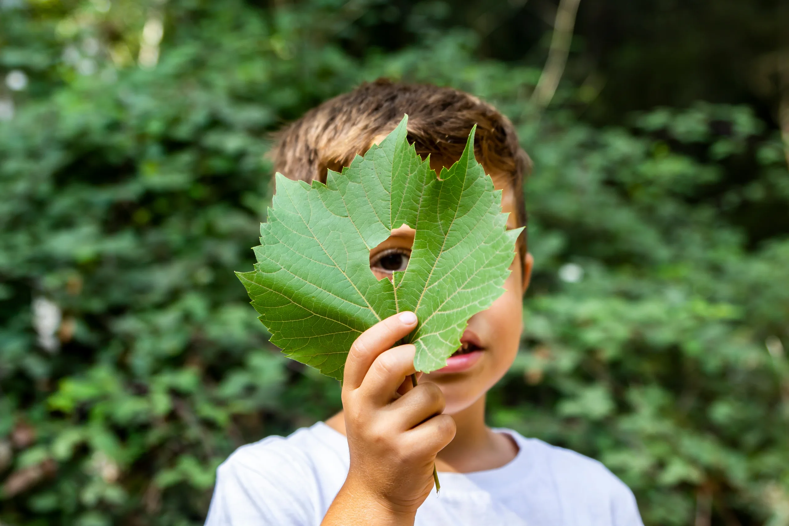 Taking Literacy Outdoors: Early Years