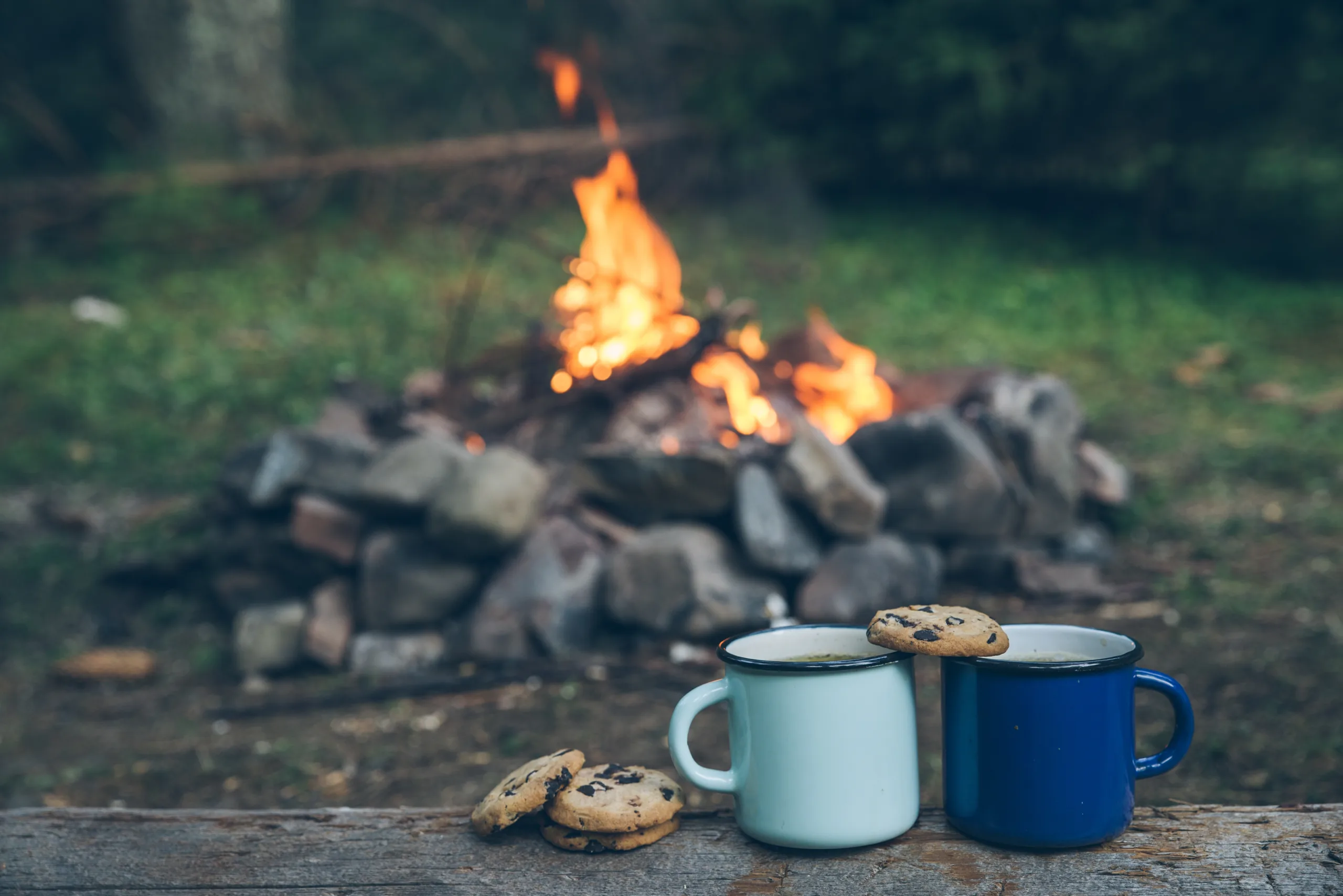 Fire Lighting Training