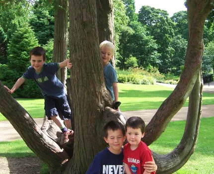 Tree & Obstacle Climbing Risk Assessment