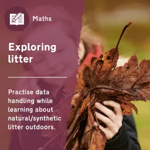 Exploring Litter