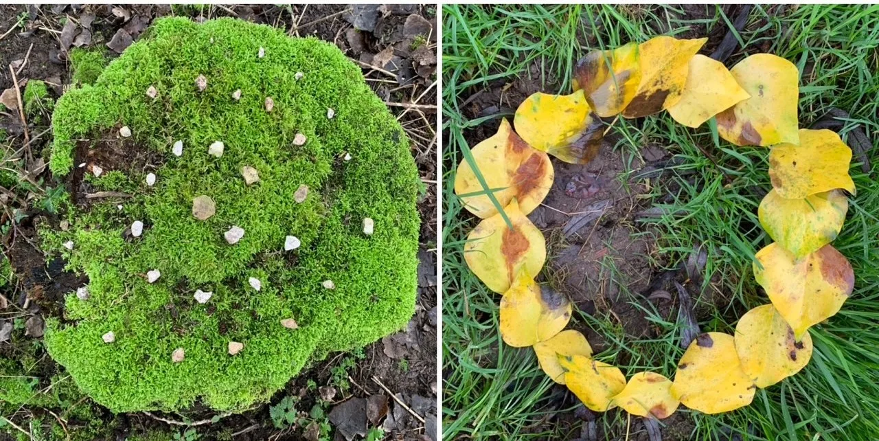 Taking the Visual Arts Outdoors: Secondary