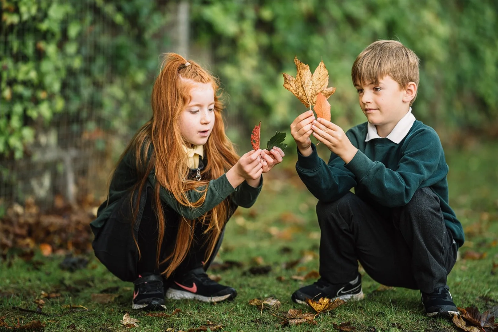 Primary Foundations Outdoors