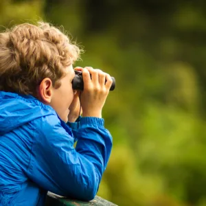 close up of a young boy in a blue coat looking through binoculars at birds with a blurred green background
