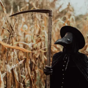 Plague Doctor Bird Masks