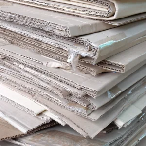 Cardboard Minibeast Trap