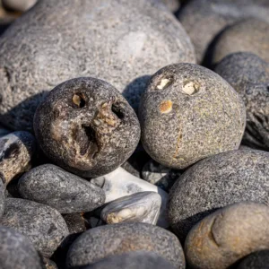 Journey Beneath the Stones