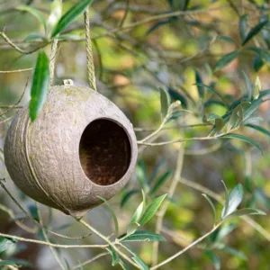 Make a Nest a Home