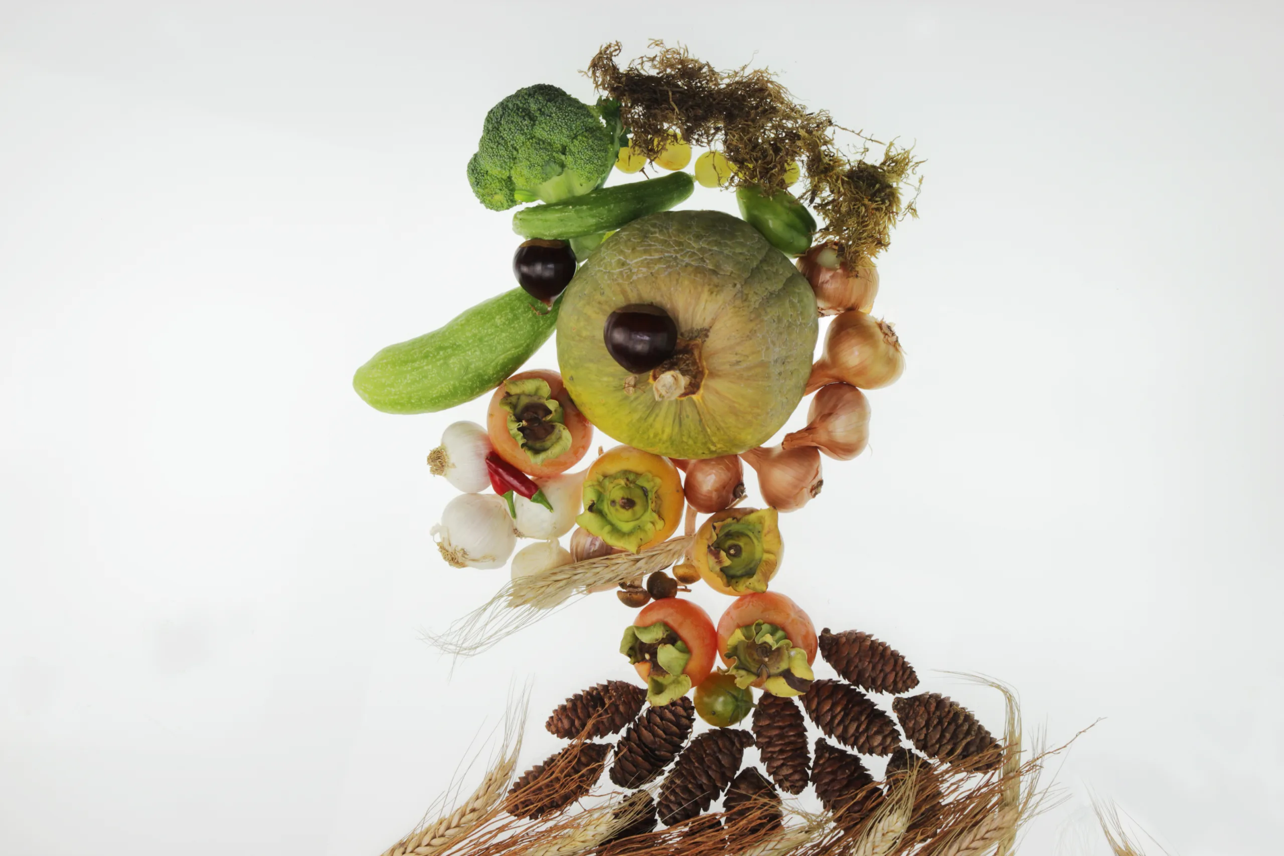 Portraits inspired by Arcimboldo