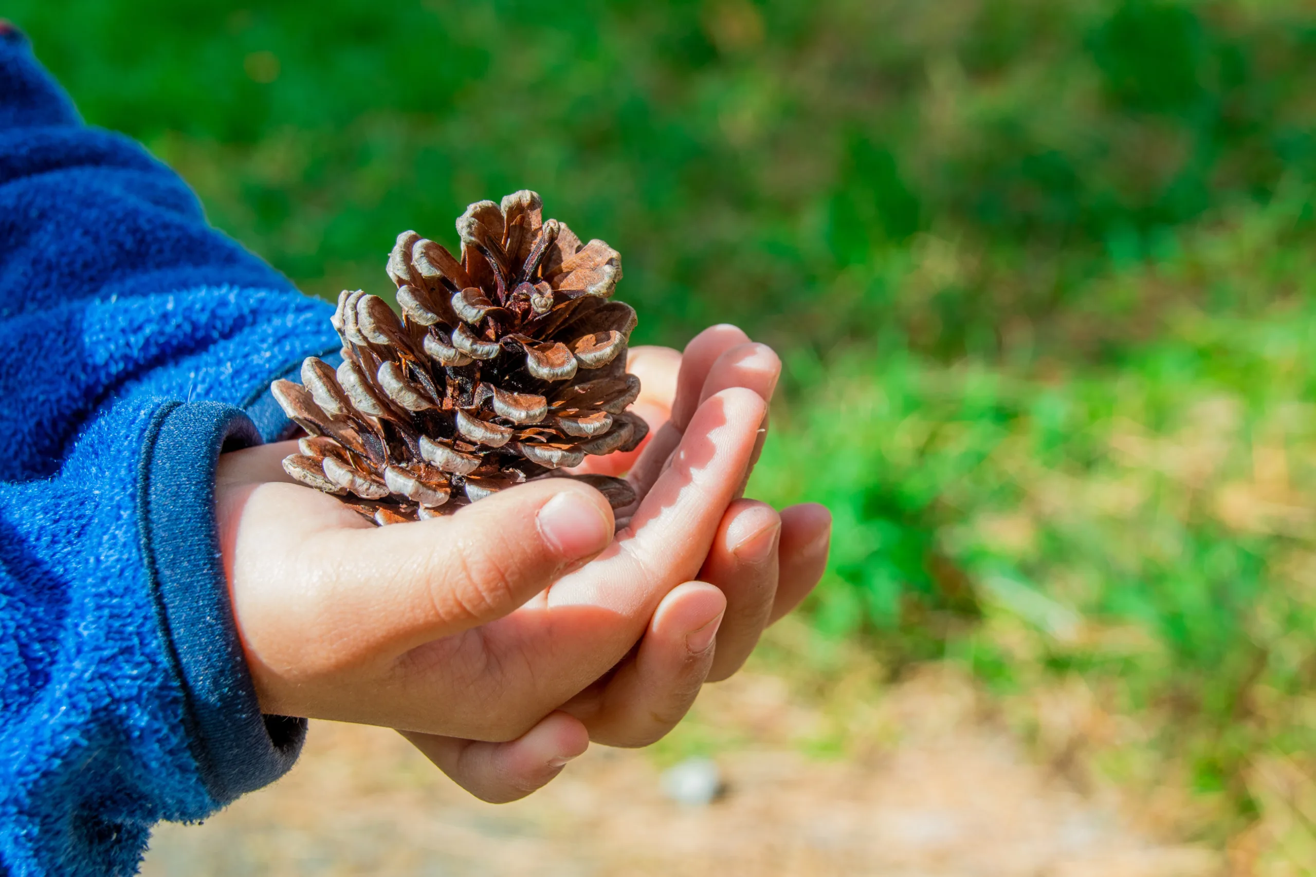 Descriptive Alliteration Poems