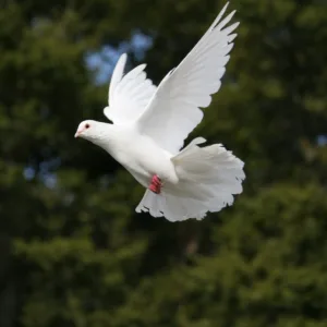 White bird flying against greenery