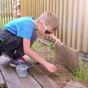 Boy collects worms under the wooden boards in village for fishing. Teen boy exploring the environment. He is putting worm in plastic pail sitting squat.