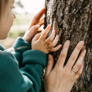 Hands touching a tree trunk.