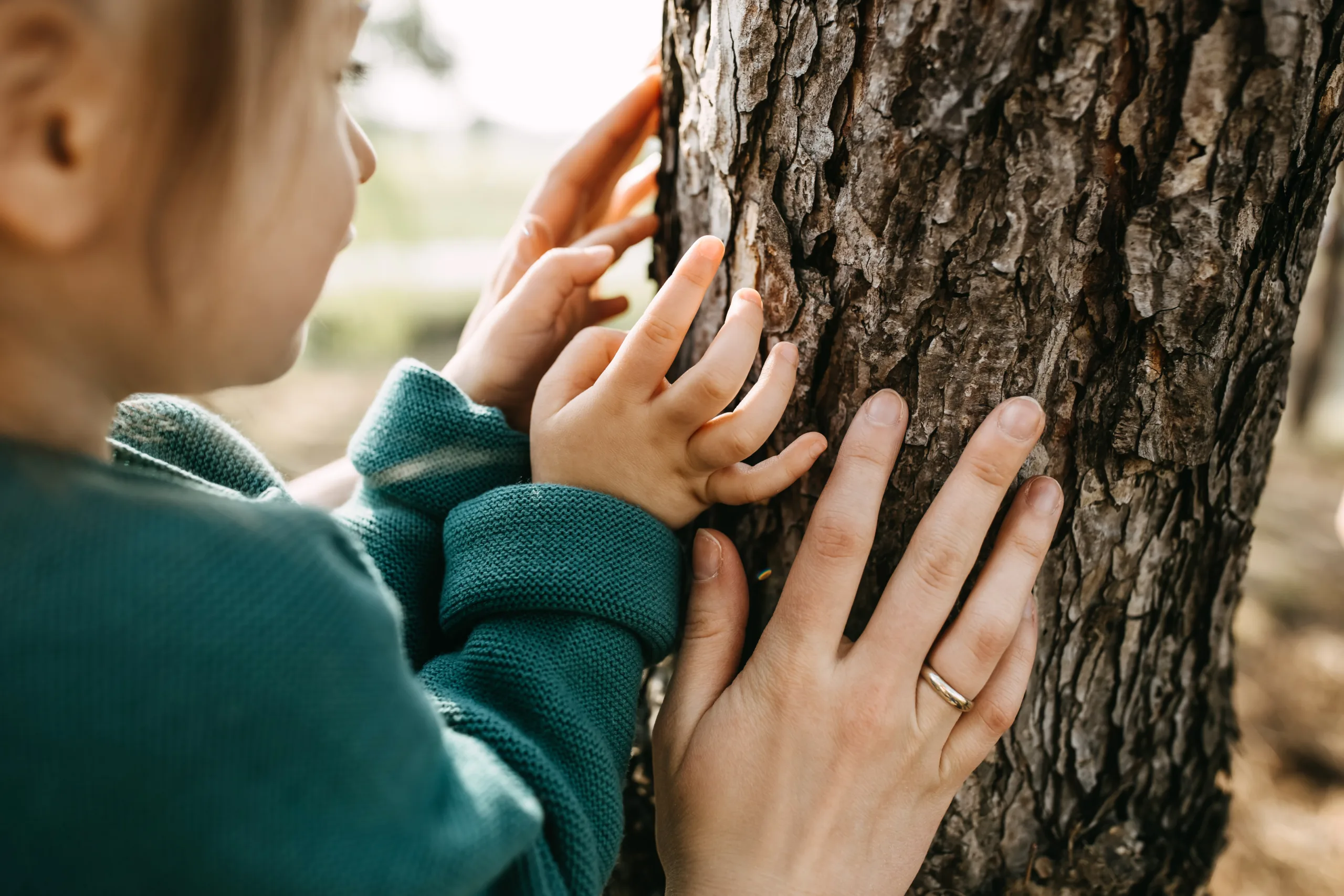 How to Measure a Tree