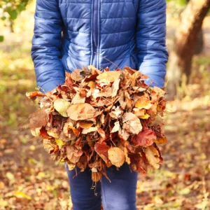 Simple Compost with Worms