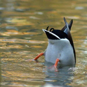 AdobeStock_577652824