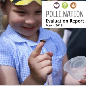 Polli:Nation Project - Summary Report and Short Guide