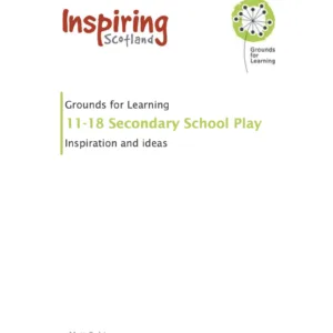 Adolescent play in secondary schools - inspiration and ideas