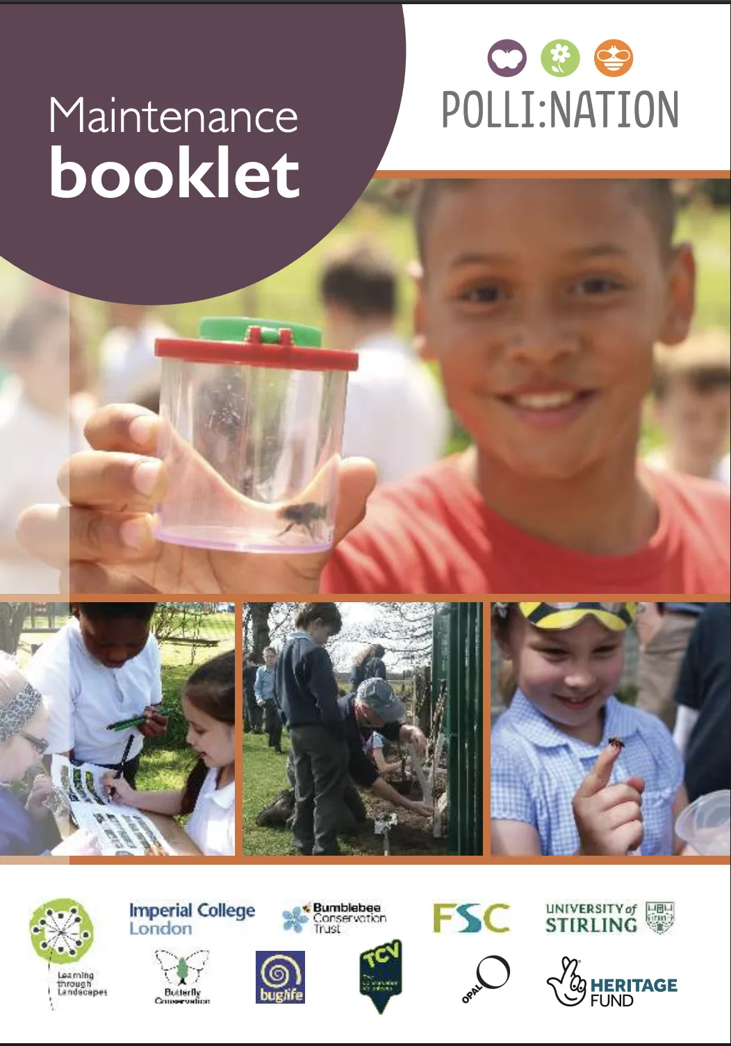 Polli:Nation maintenance guide