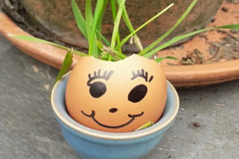 Eggy Cress Heads