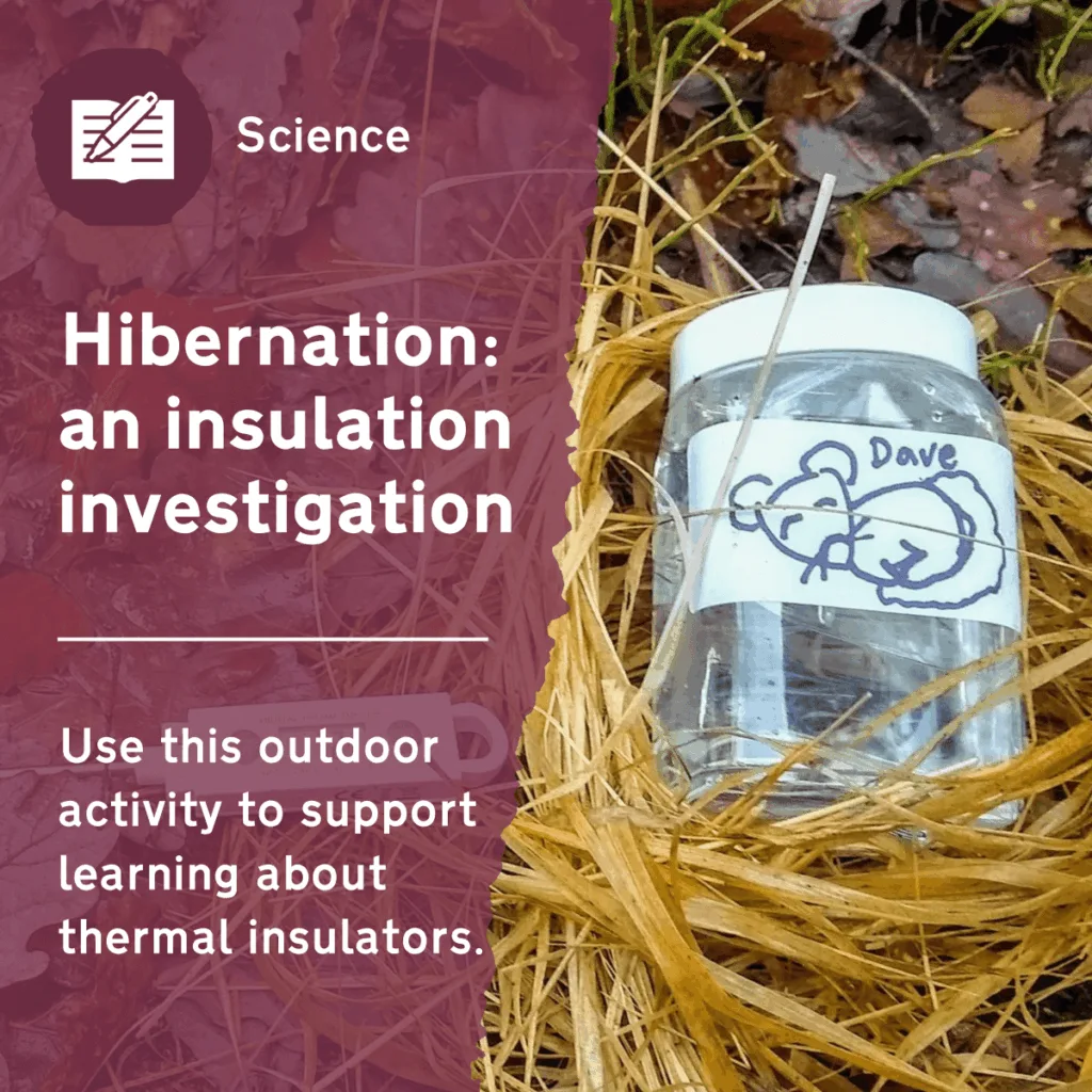 Hibernation: An Insulation Investigation